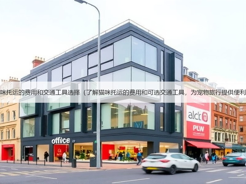 猫咪托运的费用和交通工具选择（了解猫咪托运的费用和可选交通工
