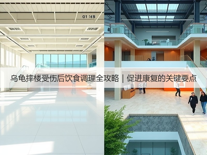 乌龟摔楼受伤后饮食调理全攻略｜促进康复的关键要点