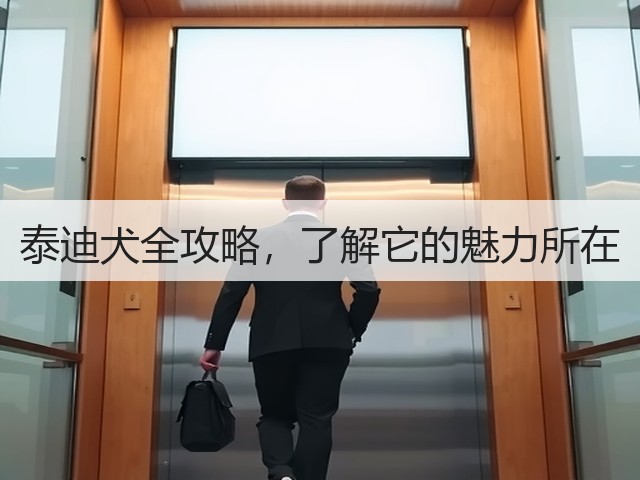 泰迪犬全攻略,了解它的魅力所在(图3) 泰迪犬全攻略,了解它的魅力所在(图3)