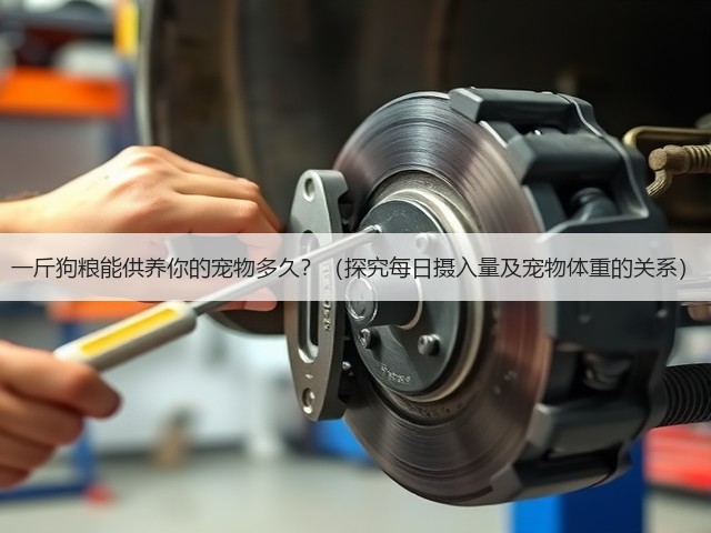 一斤狗粮能供养你的宠物多久?(探究每日摄入量及宠物体重的关系)(图1) 一斤狗粮能供养你的宠物多久?(探究每日摄入量及宠物体重的关系)(图1)