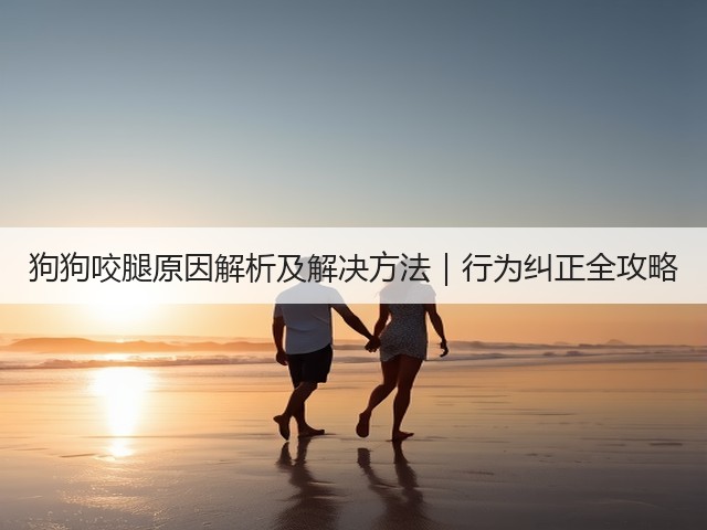 狗狗咬腿原因解析及解决方法|行为纠正全攻略(图2) 狗狗咬腿原因解析及解决方法|行为纠正全攻略(图2)