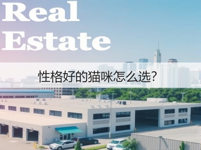 性格好的猫咪怎么选?(图1) 性格好的猫咪怎么选?(图1)