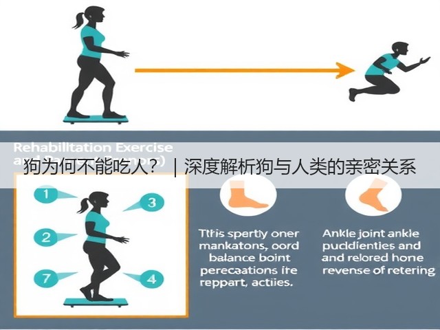 狗为何不能吃人?|深度解析狗与人类的亲密关系(图3) 狗为何不能吃人?|深度解析狗与人类的亲密关系(图3)