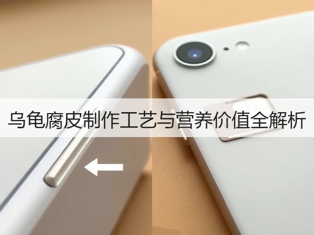 乌龟腐皮制作工艺与营养价值全解析(图1) 乌龟腐皮制作工艺与营养价值全解析(图1)