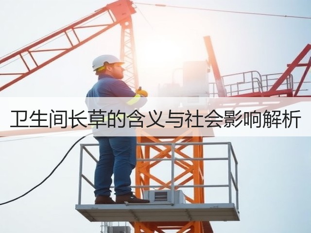 卫生间长草的含义与社会影响解析(图3) 卫生间长草的含义与社会影响解析(图3)