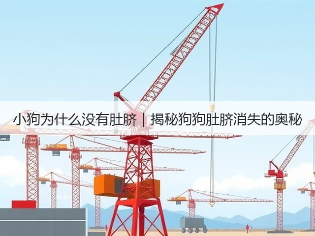小狗为什么没有肚脐|揭秘狗狗肚脐消失的奥秘(图2) 小狗为什么没有肚脐|揭秘狗狗肚脐消失的奥秘(图2)