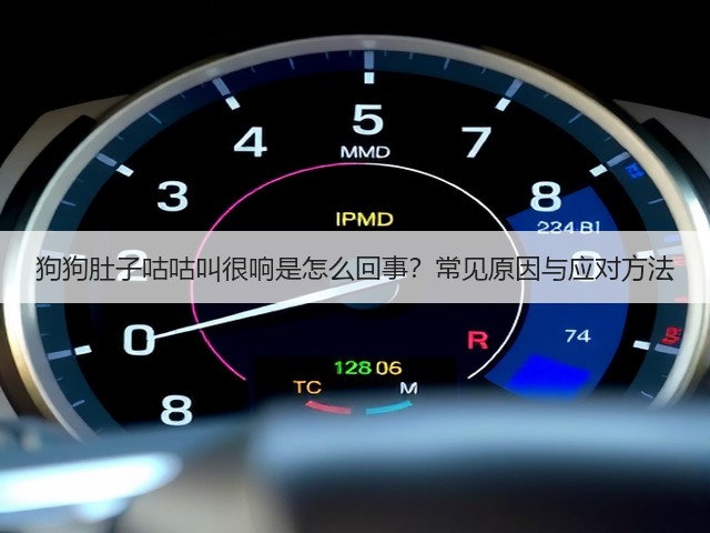 狗狗肚子咕咕叫很响是怎么回事?常见原因与应对方法(图2) 狗狗肚子咕咕叫很响是怎么回事?常见原因与应对方法(图2)