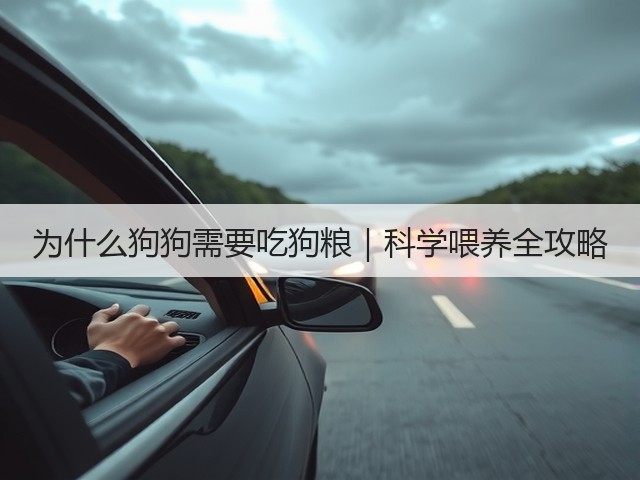为什么狗狗需要吃狗粮|科学喂养全攻略(图3) 为什么狗狗需要吃狗粮|科学喂养全攻略(图3)