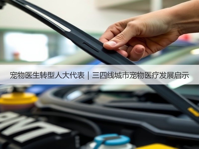 宠物医生转型人大代表｜三四线城市宠物医疗发展启示