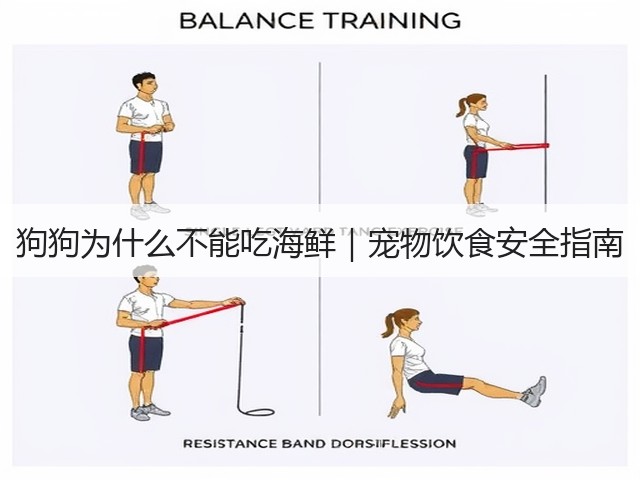 狗狗为什么不能吃海鲜｜宠物饮食安全指南(图2)