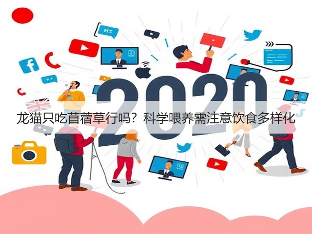 龙猫只吃苜蓿草行吗?科学喂养需注意饮食多样化(图2) 龙猫只吃苜蓿草行吗?科学喂养需注意饮食多样化(图2)