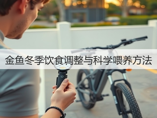 金鱼冬季饮食调整与科学喂养方法(图2)