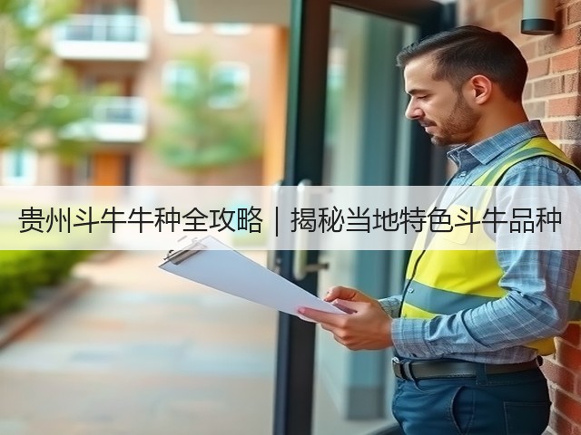贵州斗牛牛种全攻略|揭秘当地特色斗牛品种(图3) 贵州斗牛牛种全攻略|揭秘当地特色斗牛品种(图3)