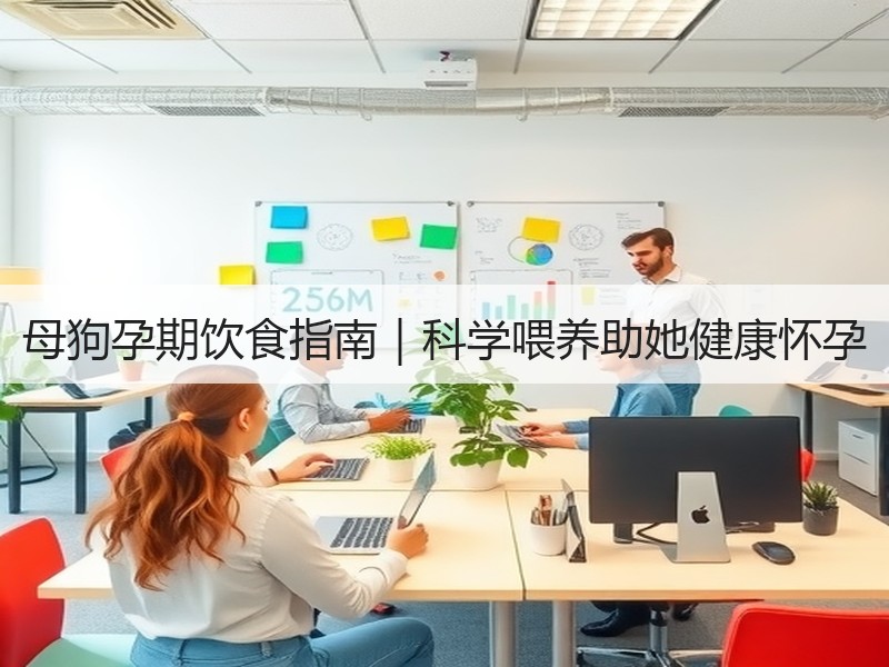 母狗孕期饮食指南｜科学喂养助她健康怀孕