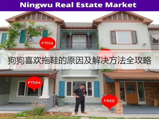 狗狗喜欢拖鞋的原因及解决方法全攻略(图2) 狗狗喜欢拖鞋的原因及解决方法全攻略(图2)