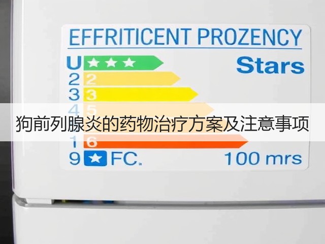 狗前列腺炎的药物治疗方案及注意事项(图1) 狗前列腺炎的药物治疗方案及注意事项(图1)