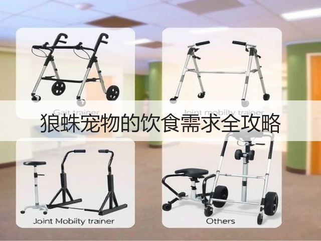 狼蛛宠物的饮食需求全攻略(图3) 狼蛛宠物的饮食需求全攻略(图3)