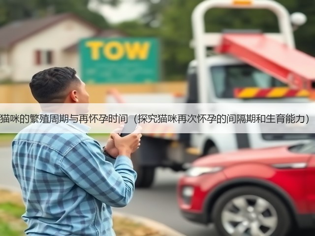 猫咪的繁殖周期与再怀孕时间(探究猫咪再次怀孕的间隔期和生育能力)(图1) 猫咪的繁殖周期与再怀孕时间(探究猫咪再次怀孕的间隔期和生育能力)(图1)