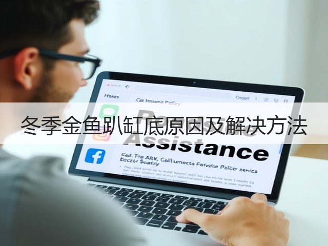 冬季金鱼趴缸底原因及解决方法(图3) 冬季金鱼趴缸底原因及解决方法(图3)