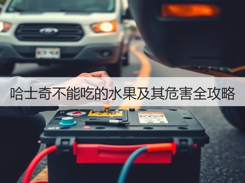 哈士奇不能吃的水果及其危害全攻略