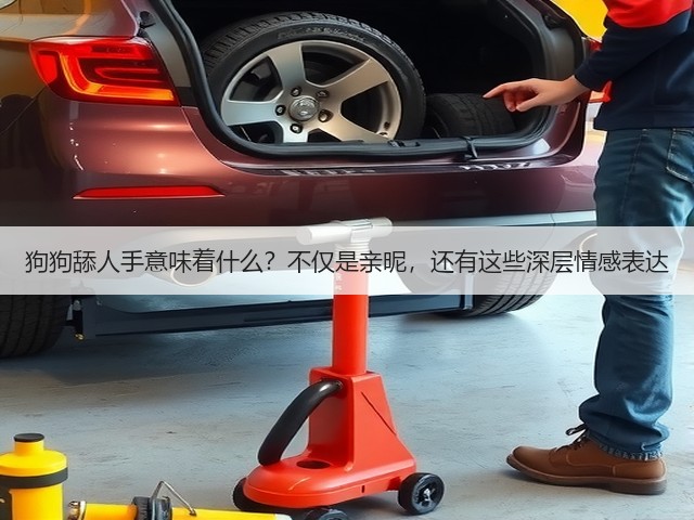 狗狗舔人手意味着什么?不仅是亲昵,还有这些深层情感表达(图1) 狗狗舔人手意味着什么?不仅是亲昵,还有这些深层情感表达(图1)