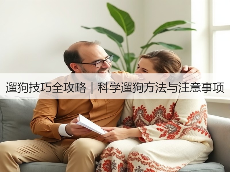 遛狗技巧全攻略｜科学遛狗方法与注意事项