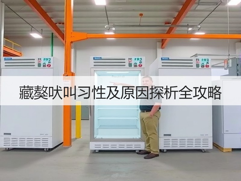 藏獒吠叫习性及原因探析全攻略