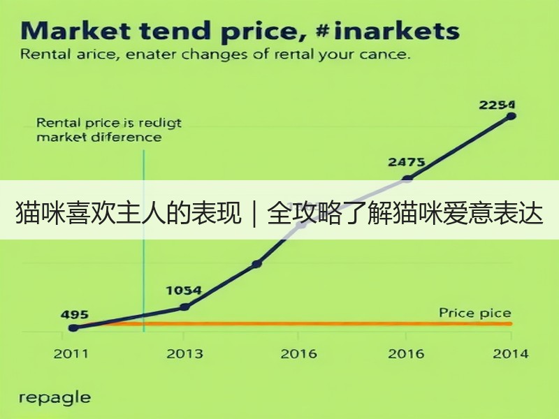 猫咪喜欢主人的表现｜全攻略了解猫咪爱意表达