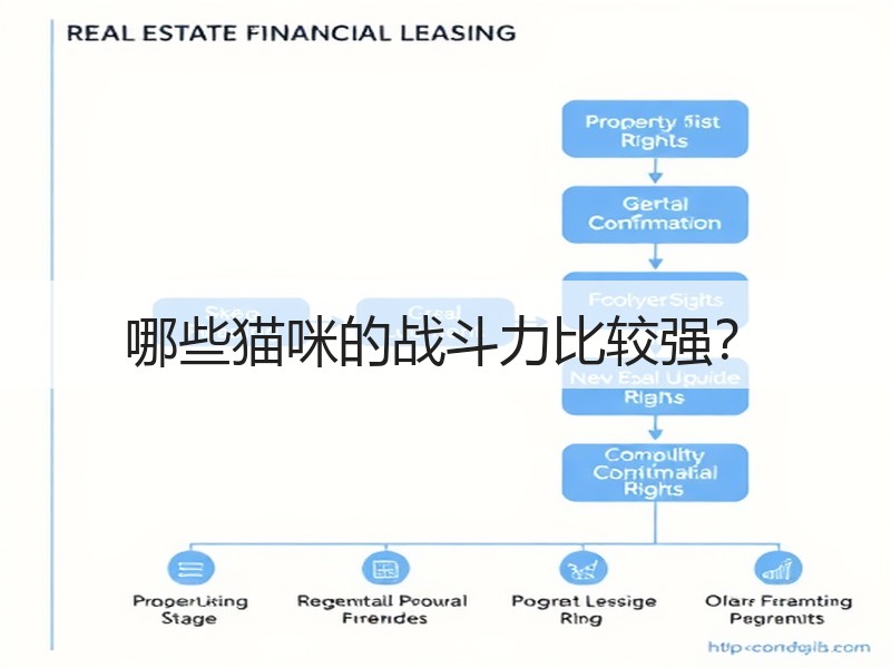 哪些猫咪的战斗力比较强？