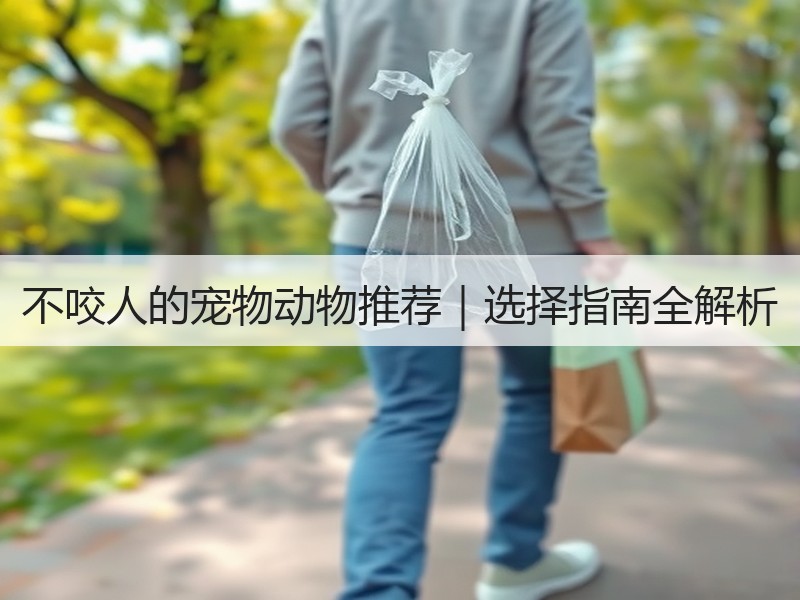 不咬人的宠物动物推荐｜选择指南全解析