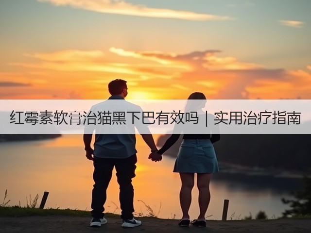红霉素软膏治猫黑下巴有效吗|实用治疗指南(图3) 红霉素软膏治猫黑下巴有效吗|实用治疗指南(图3)
