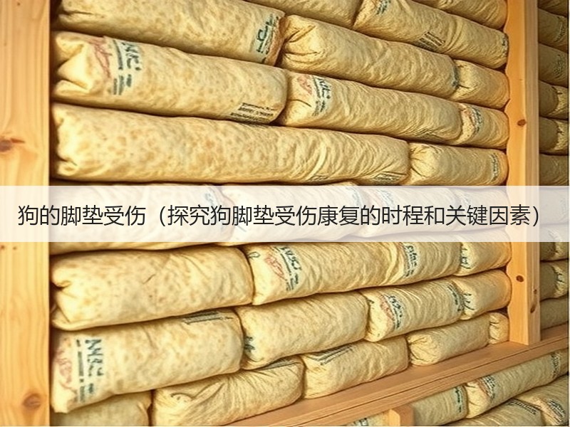 狗的脚垫受伤（探究狗脚垫受伤康复的时程和关键因素）