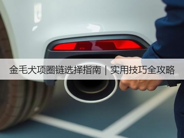 金毛犬项圈链选择指南|实用技巧全攻略(图3) 金毛犬项圈链选择指南|实用技巧全攻略(图3)