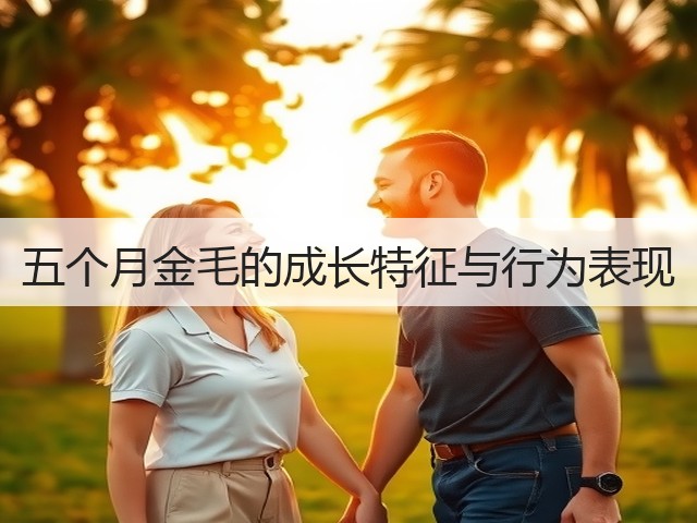五个月金毛的成长特征与行为表现(图2) 五个月金毛的成长特征与行为表现(图2)