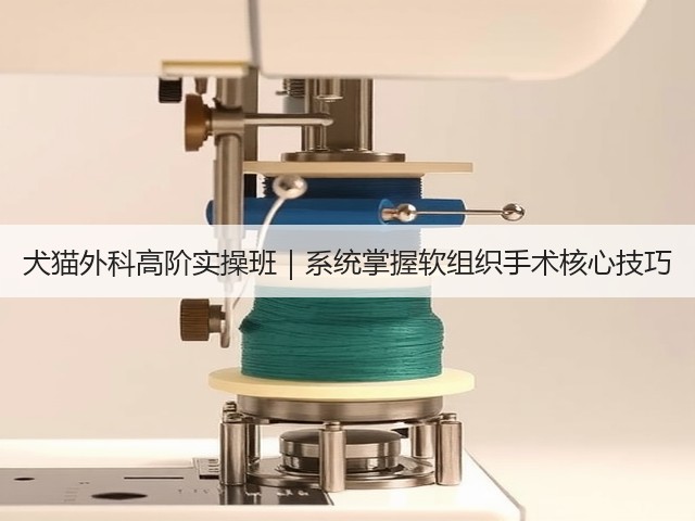 犬猫外科高阶实操班|系统掌握软组织手术核心技巧(图1) 犬猫外科高阶实操班|系统掌握软组织手术核心技巧(图1)