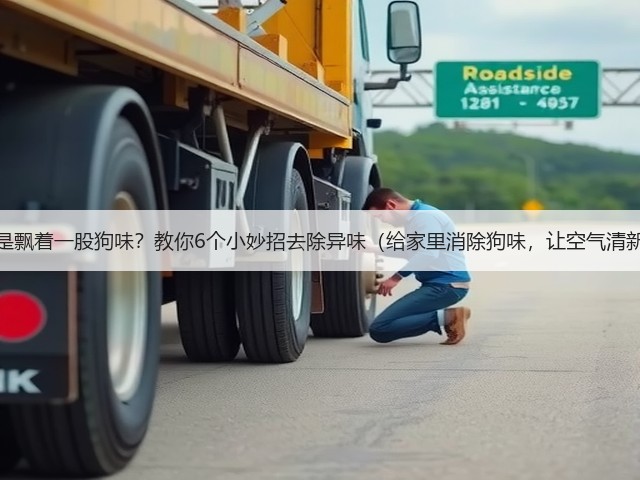 家里总是飘着一股狗味?教你6个小妙招去除异味(给家里消除狗味,让空气清新如初)(图2) 家里总是飘着一股狗味?教你6个小妙招去除异味(给家里消除狗味,让空气清新如初)(图2)