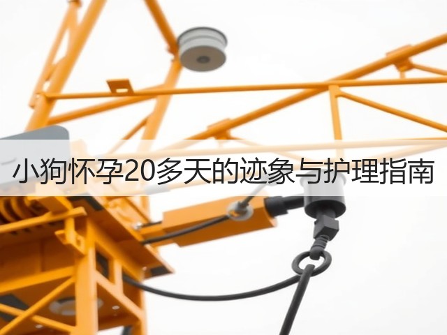 小狗怀孕20多天的迹象与护理指南(图2) 小狗怀孕20多天的迹象与护理指南(图2)