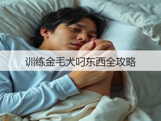 训练金毛犬叼东西全攻略(图1) 训练金毛犬叼东西全攻略(图1)