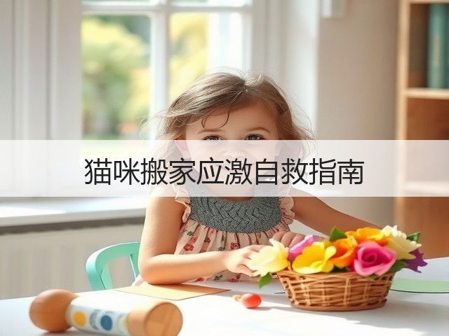 猫咪搬家应激自救指南(图2) 猫咪搬家应激自救指南(图2)