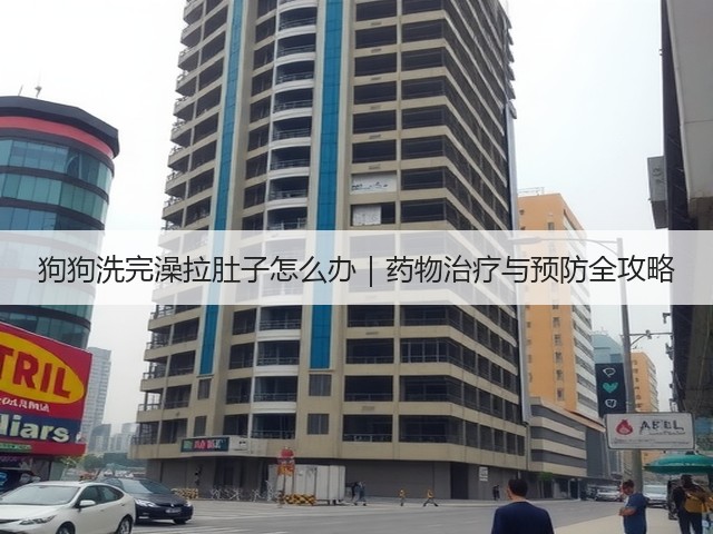 狗狗洗完澡拉肚子怎么办｜药物治疗与预防全攻略(图3)