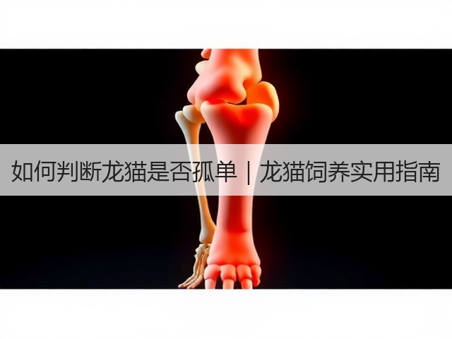 如何判断龙猫是否孤单｜龙猫饲养实用指南(图2)