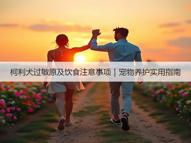柯利犬过敏原及饮食注意事项|宠物养护实用指南(图1) 柯利犬过敏原及饮食注意事项|宠物养护实用指南(图1)