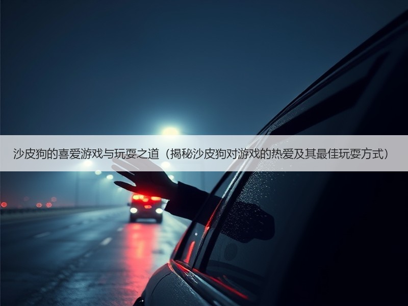 沙皮狗的喜爱游戏与玩耍之道（揭秘沙皮狗对游戏的热爱及其最佳玩耍方式）