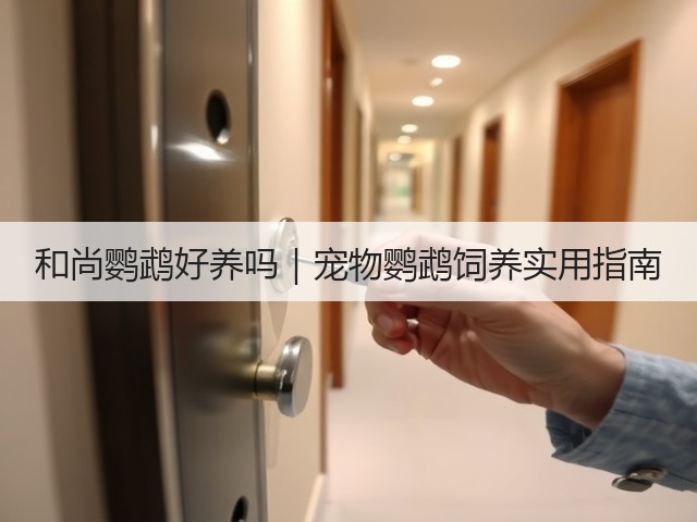 和尚鹦鹉好养吗|宠物鹦鹉饲养实用指南(图2) 和尚鹦鹉好养吗|宠物鹦鹉饲养实用指南(图2)