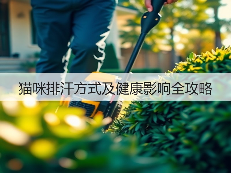 猫咪排汗方式及健康影响全攻略