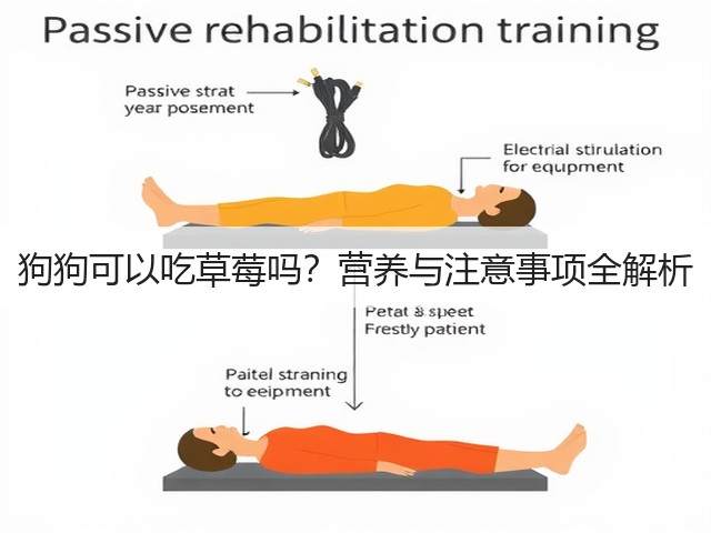 狗狗可以吃草莓吗？营养与注意事项全解析(图2)