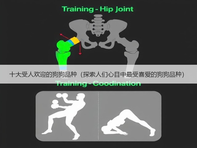 十大受人欢迎的狗狗品种(探索人们心目中最受喜爱的狗狗品种)(图3) 十大受人欢迎的狗狗品种(探索人们心目中最受喜爱的狗狗品种)(图3)