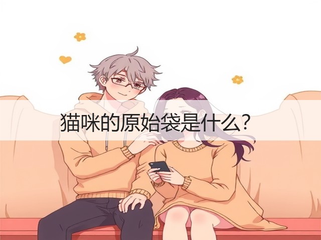 猫咪的原始袋是什么?(图1) 猫咪的原始袋是什么?(图1)