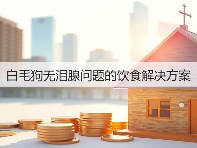 白毛狗无泪腺问题的饮食解决方案(图2) 白毛狗无泪腺问题的饮食解决方案(图2)