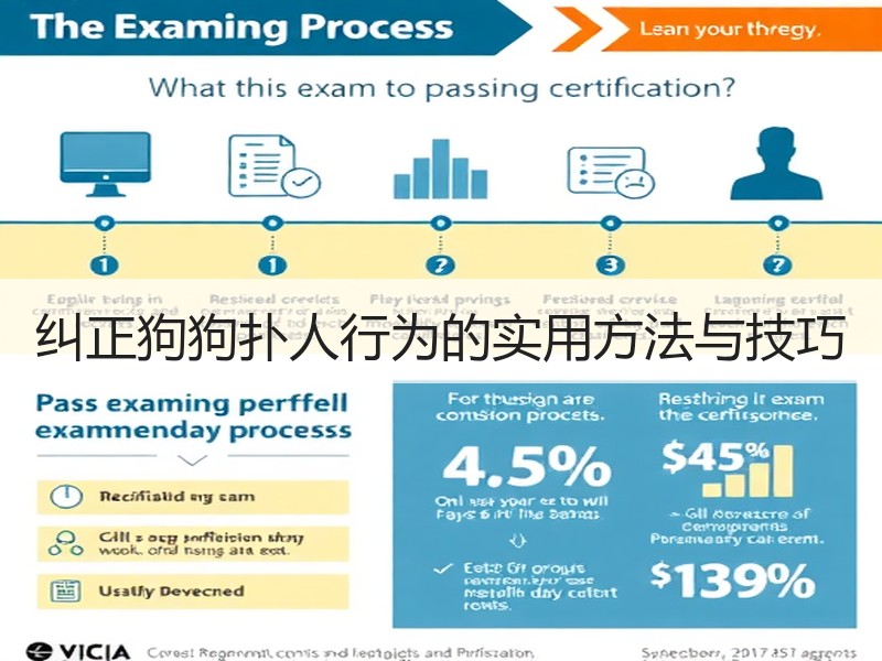 纠正狗狗扑人行为的实用方法与技巧